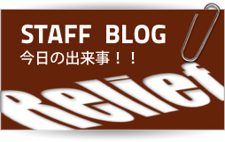 STAFF BLOG