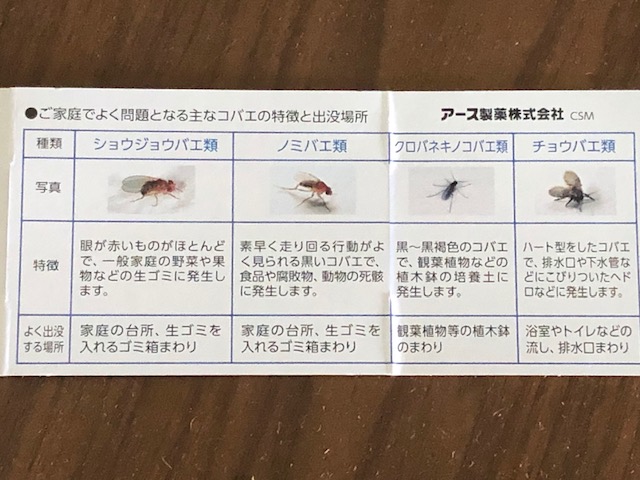 コバエホイホイで 退治できます様に リノベ熊本 完璧主義がたまにきず のブログ